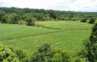 Finca en Peñas Blancas