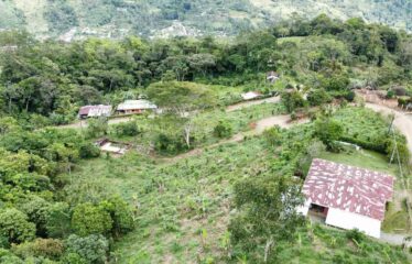 Finca en Tirrá de Rivas