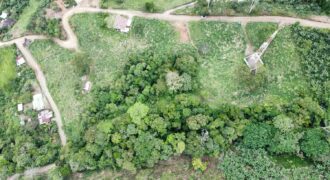 Finca en Tirrá de Rivas