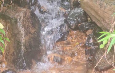 Finca en Tirrá de Rivas