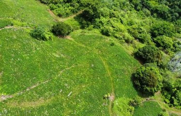 Finca en Guajaral de Buenos Aires