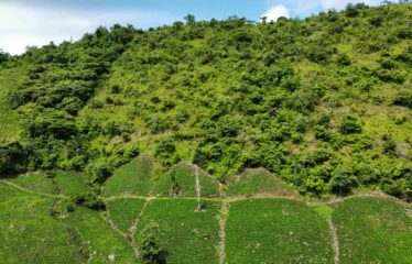 Finca en Guajaral de Buenos Aires