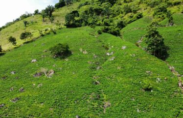 Finca en Guajaral de Buenos Aires
