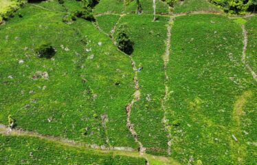 Finca en Guajaral de Buenos Aires