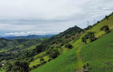 Finca en Guajaral de Buenos Aires