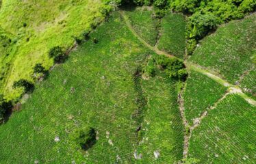 Finca en Guajaral de Buenos Aires