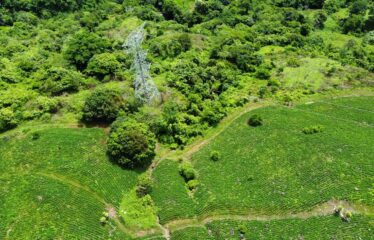 Finca en Guajaral de Buenos Aires