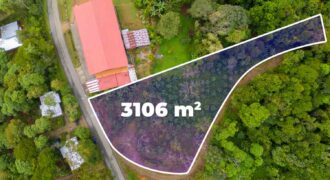 Lote Antojitos de Maiz