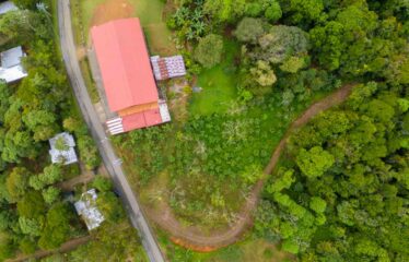 Lote Antojitos de Maiz