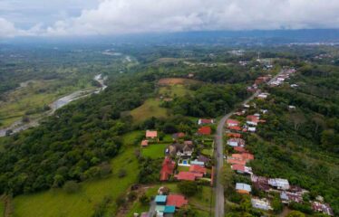 Lote Antojitos de Maiz