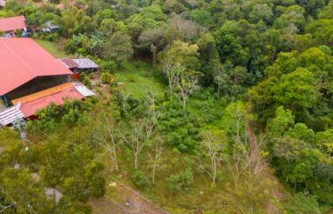 Lote Antojitos de Maiz