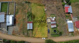 Lote Bonita de Rivas