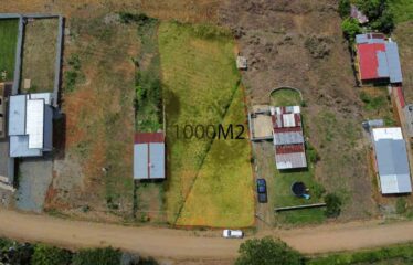 Lote Bonita de Rivas