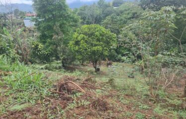 Lote Barrio la Lucha