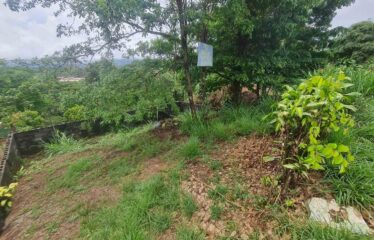 Lote Barrio la Lucha