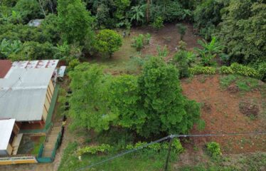 Lote Barrio la Lucha