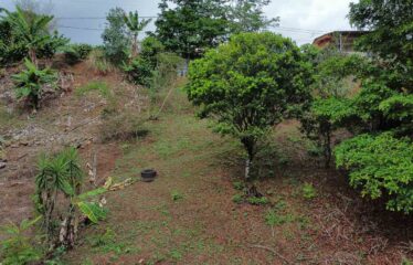 Lote Barrio la Lucha