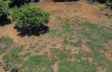 Lote Residencial Los viejos Daniel Flores