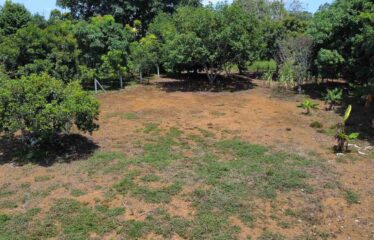 Lote Residencial Los viejos Daniel Flores