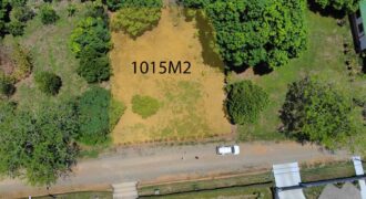 Lote Residencial Los viejos Daniel Flores