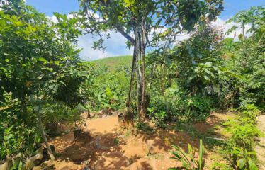 Lote con Casa Santa Teresa Cajon