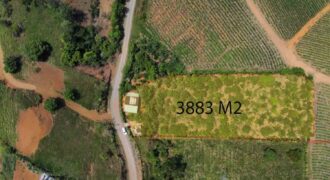 Lote con Casa Santa Teresa Cajon