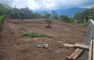 Lote en Tirrá de Rivas