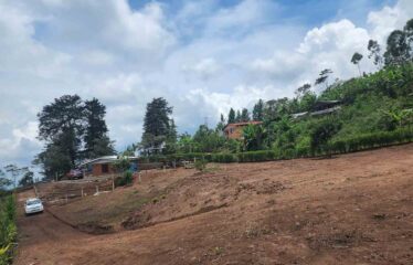 Lote en Tirrá de Rivas