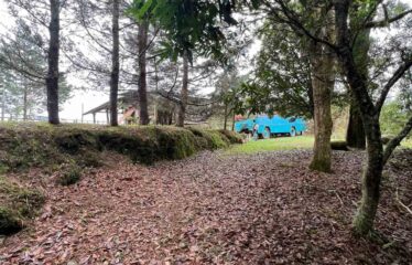 Lote en Cerro Paraguas