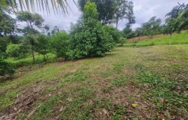 Lote en Quebrada Honda