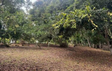 Lote en Barrio San Francisco