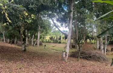 Lote en Barrio San Francisco