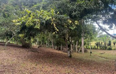 Lote en Barrio San Francisco