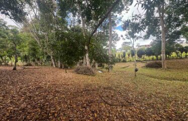 Lote en Barrio San Francisco