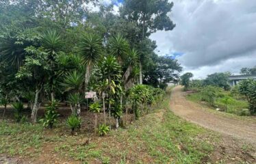 Lote en Barrio San Francisco