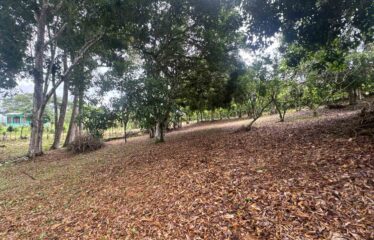 Lote en Barrio San Francisco