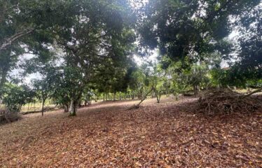 Lote en Barrio San Francisco