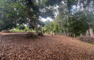 Lote en Barrio San Francisco