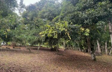 Lote en Barrio San Francisco