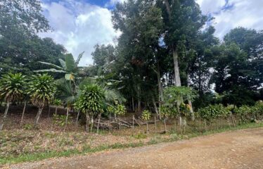 Lote en Barrio San Francisco