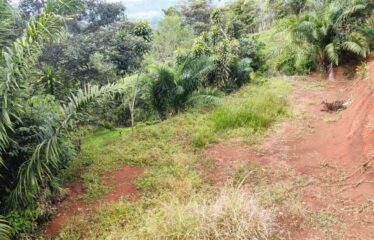 Lote en San Ramón Sur