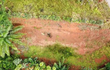 Lote en San Ramón Sur