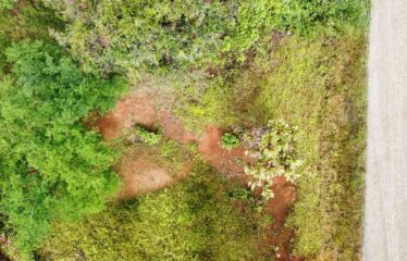 Lote en San Ramón Sur