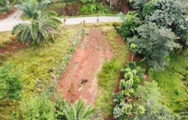 Lote en San Ramón Sur