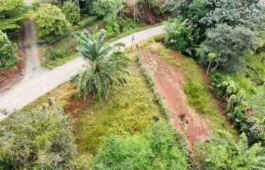 Lote en San Ramón Sur