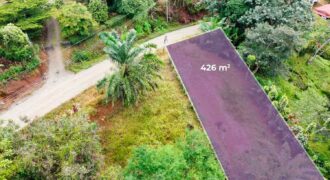 Lote en San Ramón Sur