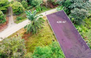 Lote en San Ramón Sur