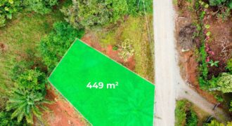 Lote en San Ramón Sur