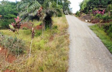 Lote en San Ramón Sur