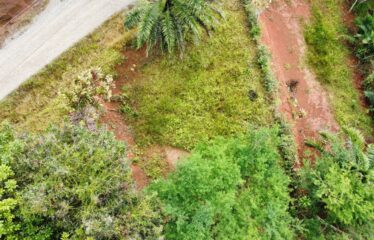 Lote en San Ramón Sur